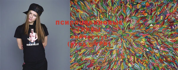 синтетический гашиш Гусиноозёрск