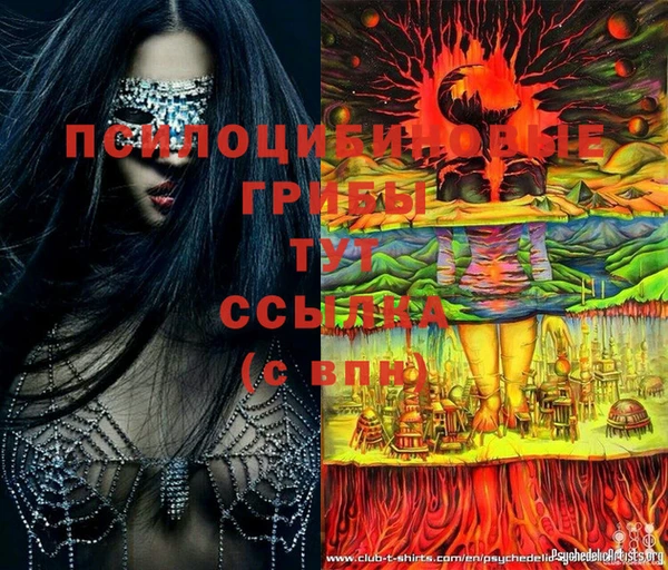 стафф Гусь-Хрустальный