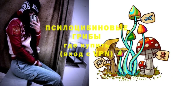 дурь Дмитровск