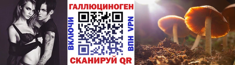 Купить где  Братск  Псилоцибиновые грибы MAGIC MUSHROOMS 